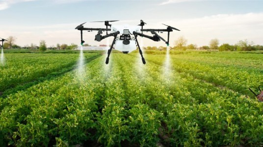 Drone Technique in Sugarcane Farming : गन्ने की खेती में ड्रोन तकनीक का कमाल! 7 मिनट में पूरा खेत, लागत में भारी कटौती