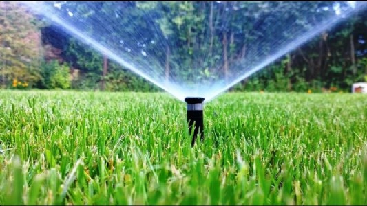 Summer Irrigation Tips : जड़ों को लग रहा ‘हीट शॉक’, इसलिए खराब हो रही कद्दू वर्गीय फसलें