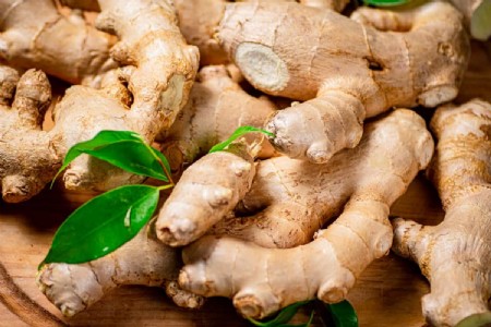 Ginger Organic Farming : मई में अदरक की बुवाई से बदल सकती है किस्मत, अपनाएं यह तरीका और पाएं डबल मुनाफा
