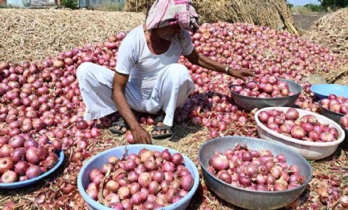 Onion Farmers Relief In Maharashtra : प्याज किसानों के लिए बड़ी राहत! सरकार खरीदेगी 10 लाख टन प्याज