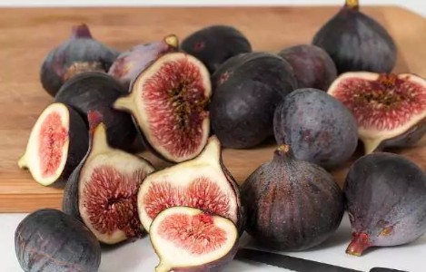 How To Grow Fig At Home : बाजार में महंगा बिकने वाला यह कीमती फल अब उगेगा आपकी बालकनी में! जानें 'सीक्रेट फॉर्मूला'