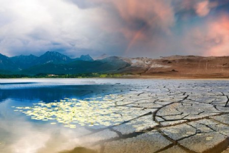Climate Change WMO Report : अगले 5 साल और बढ़ाएंगे चिंता! दुनिया रिकॉर्ड गर्मी की ओर, WMO की डराने वाली रिपोर्ट