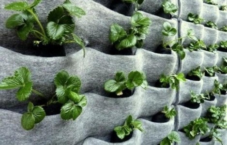 Creative Gardening : No Backyard Needed! Creative Gardening Styles Perfect for Every Home