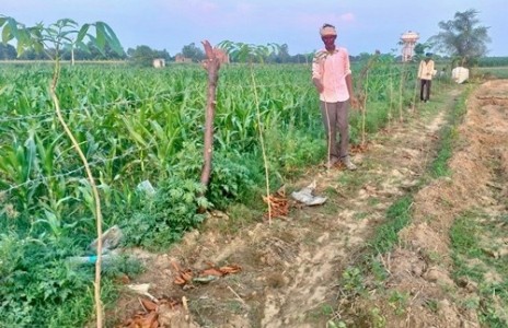 Khet Bachao Abhiyan :सूखा, महंगा डीजल और बढ़ती लागत... किसानों को बचाने के लिए सरकार का ये मास्टर प्लान