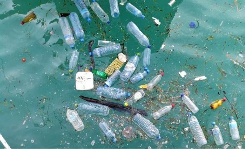 Plastic Waste to Hydrogen Fuel : समुद्रों में पड़ा प्लास्टिक अब बन सकता है करोड़ों की ऊर्जा, जानिए कैसे