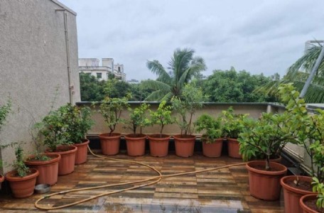 Summer Gardening Tips For Plant Lovers : Stop Overwatering! The Summer Plant Care Mistake Most Gardeners Make