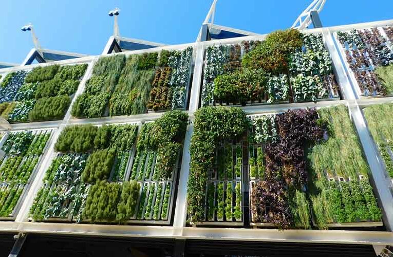 Vertical Farming For Urban Beautification And Nutrition