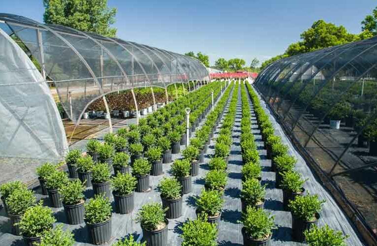 Growing Opportunities in Horticulture