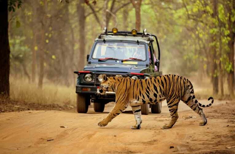 World Class Trekking and Jungle Safari Will Be Made in Aravali