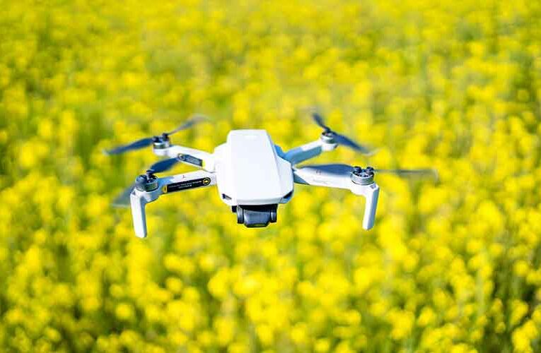 Guntur Farmer Employs 20-30 Women Every Year to Boost His Floriculture Yields With Drones