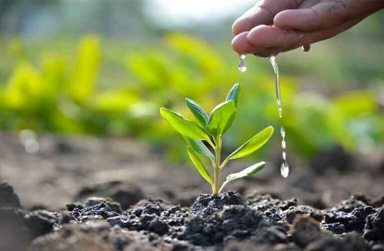 Resolve Inefficacy in Horticulture Works and Plantation: NGT