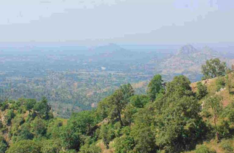 Aravali Green Wall Project to be Launched on March 25