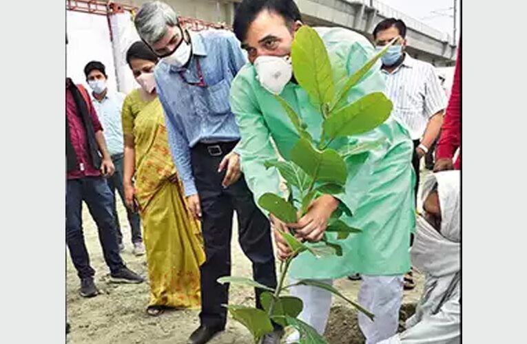 Plantation drive started by Delhi’s environment minister: Gopal Rai, portal to help book a sapling