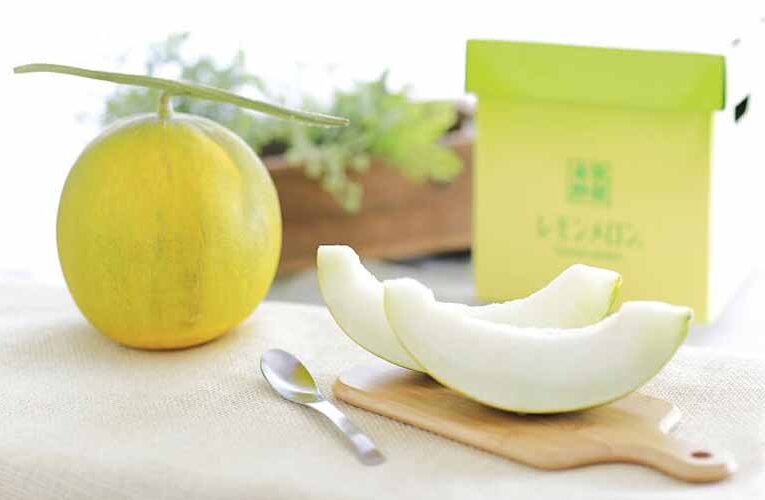 Japanese Farmers Have Created a Fresh New Fruit Called the ‘Lemon Melon’ Nursery Today Desk