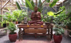 The-Sacred-Garden-Maui-Buddha-Garden