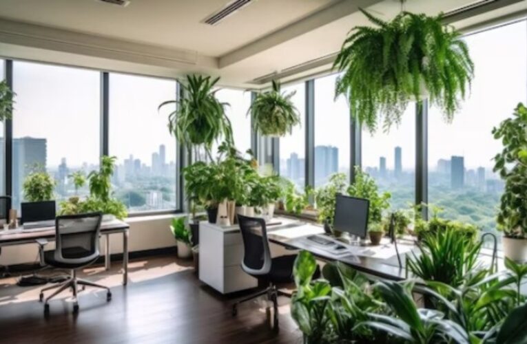 Plant for office : पौधे जो वातावरण को रखेंगे शुद्ध और मन को देंगे सुकून