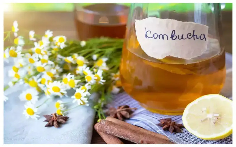 Kombucha tea: panacea to diabetes