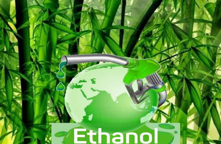 असम में पहली बार बांस (Bamboo) से बनेगा एथेनॉल (Ethanol)