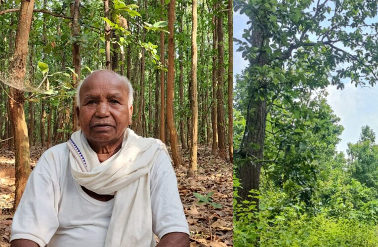 GREEN WARRIOR: बस्तर के दामोदर कश्यप ने तैयार किया 400 एकड़ का जंगल