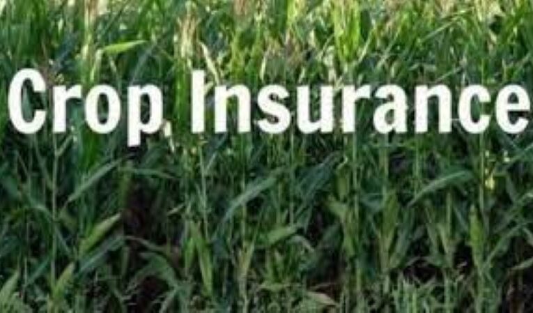 Chhattisgarh: Deadline for insurance of horticulture crops extended till Aug 16th