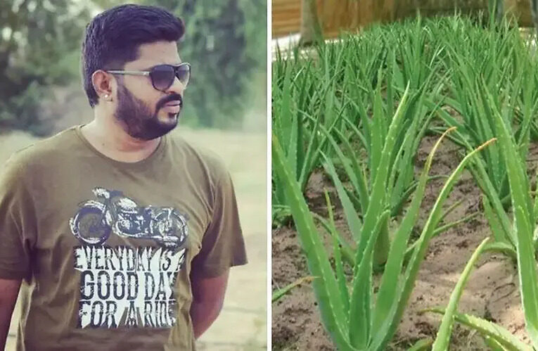 Aloe Vera Turns Dhandev, a Government Employee into a Millionaire