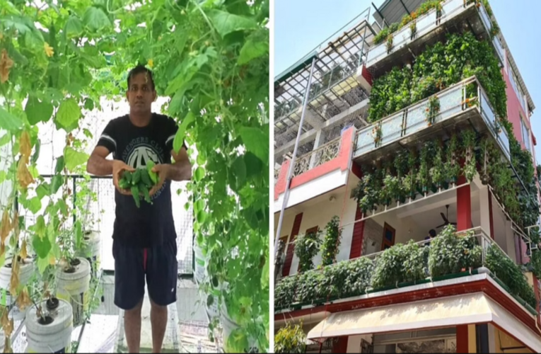 What Made Ramveer Turn His Three-Storey House Into A Farm? How Did He Do That?