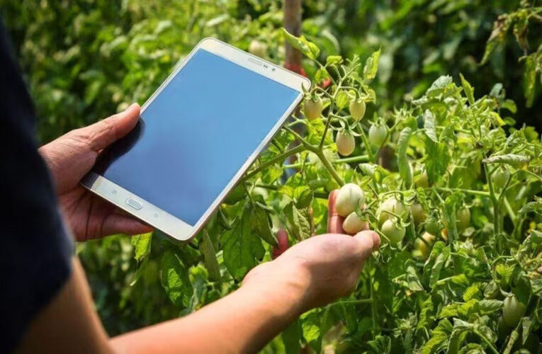 India, progressive towards digital agriculture: Digital Crop Survey Launched in 12 States