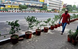 Flower pots on the roads of Delhi