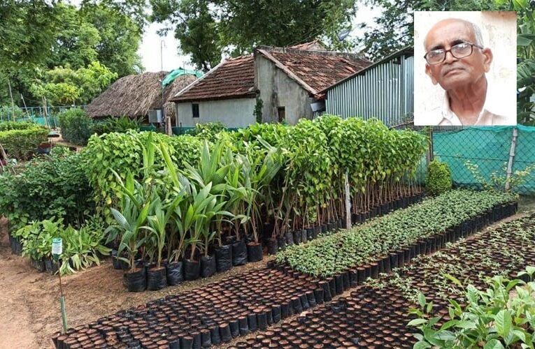 …And, Ashok Deshpande and team planted five lakh saplings!