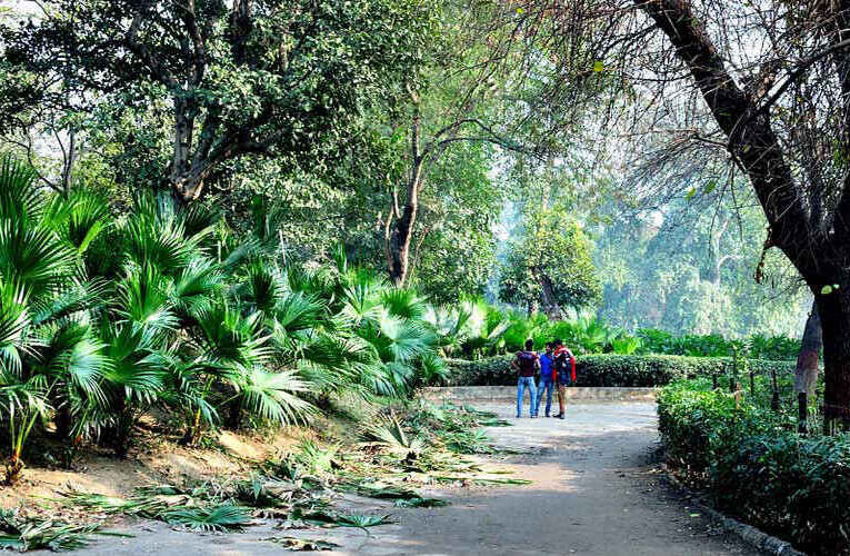 Hi-tech School of Gardening to Open at Roshanara Bagh