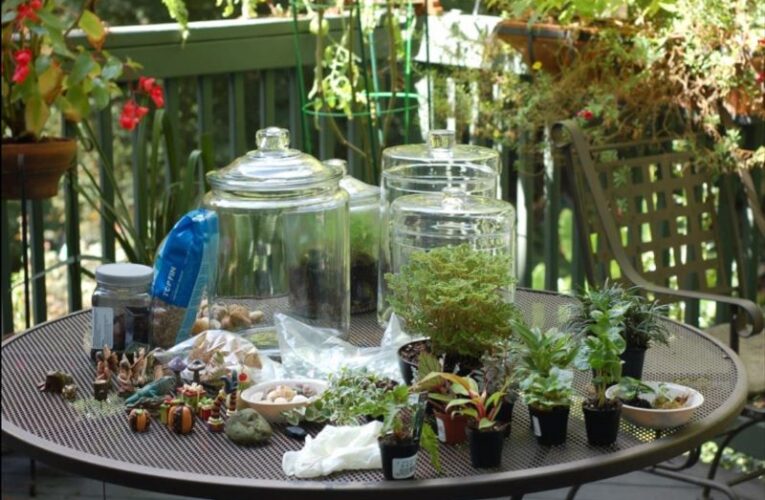 TERRARIUMS :  Turning Tiny Ecosystems Into A Blooming Business