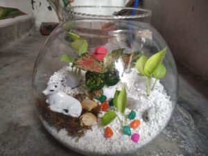 Hydroponics Terrarium: Merging Nature and Technology for Sustainable Greenery