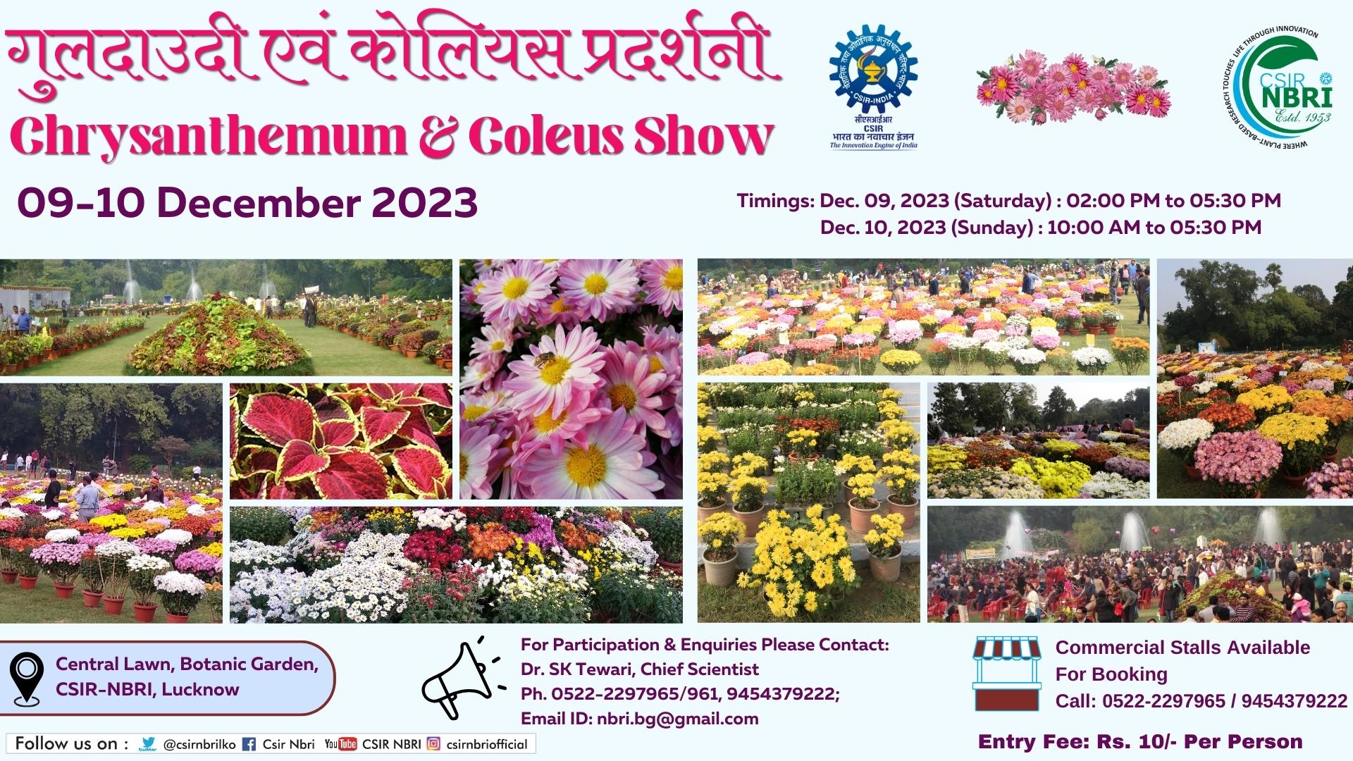 CSIR-NBRI, Lucknow will organize an exhibition of chrysanthemums and lilies from 9th to 10th December.