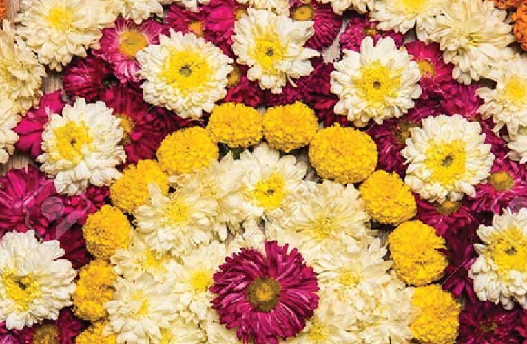 Flower carpets and Floral rangoli : Astounding Floral adornment to the floor