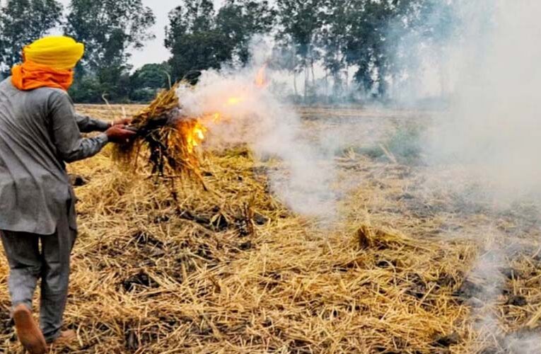 पंजाब के किसानों को रेड अलर्ट जारी, पराली जलाई तो होगी कानूनी कार्रवाई