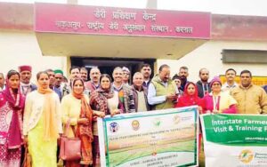 In the five-day training camp, the farmers of Bilaspur learned the tricks of natural farming