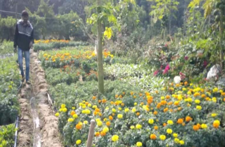 भागलपुर में फूलों की खेती से किसानों को हो रही है बंपर कमाई
