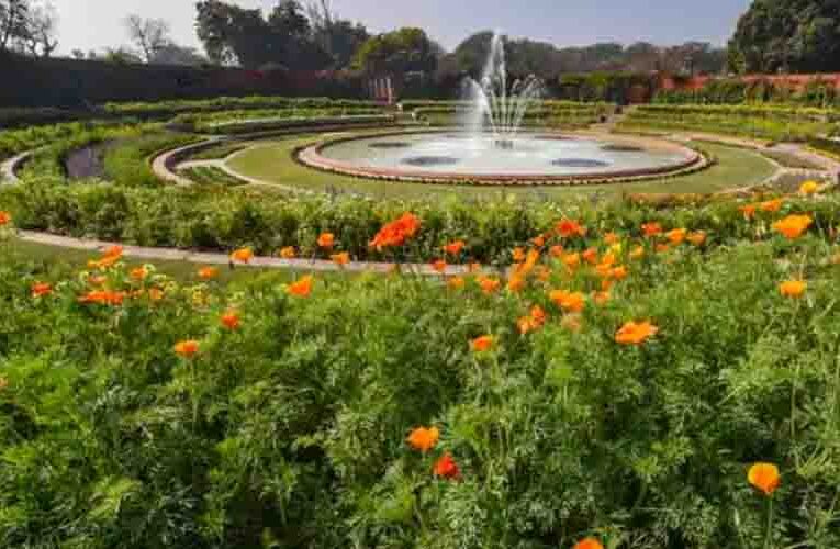 इस साल वसंत ऋतु में लुटियंस दिल्ली में दिखाई देंगे बीस लाख रंग बिरंगे पौधे