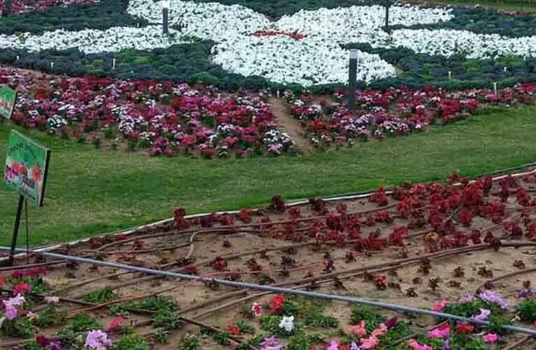 हरियाणा के हिसार में आज से शुरू होगा शहरी खेती एक्सपो एवं पुष्प उत्सव