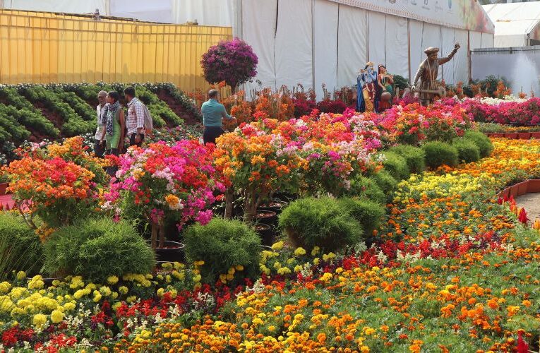 International Horticulture and Floriculture Exhibition Blooms in Pune from November 24