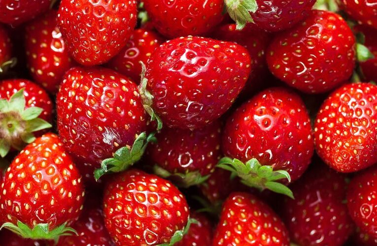 बाराबंकी का यह किसान स्ट्रॉबेरी की खेती से कमा रहा लाखों रुपये