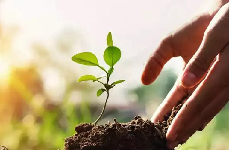 मुख्यमंत्री कृषि वानिकी योजना के तहत उत्तर प्रदेश के बस्ती जिले में रोपे जाएंगे 37 लाख 58 हजार पौधे