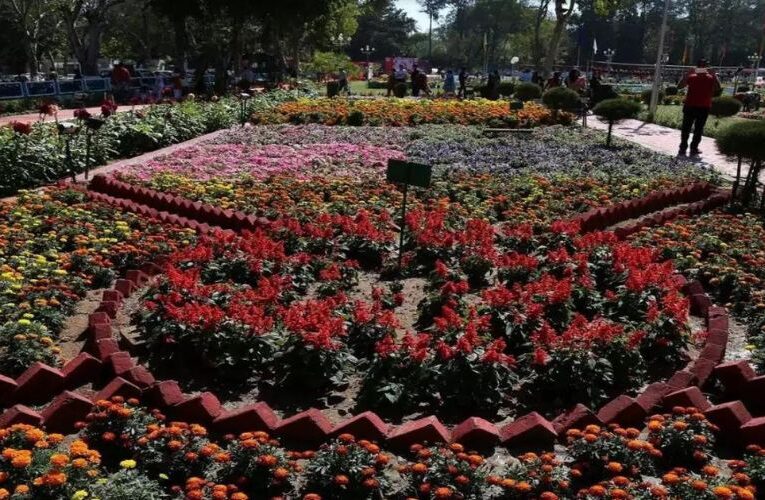 Flower Show at Gujarat Refinery Township which charm Visitors