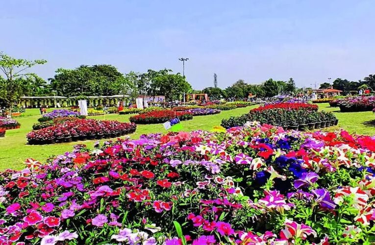 Dahlia to Bonsai Flower Show Set for a Comeback in Greater Noida