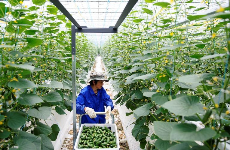 Incofin & Fiedlin Inject Rs 60 Crore into Kashmir’s Qul Fruitwall, Boosting Horticulture Tech Innovations