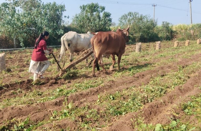 Exploring the Bounty of Zaheerabad’s Horticulture Fields, Horticulture Students Gain Valuable Insights