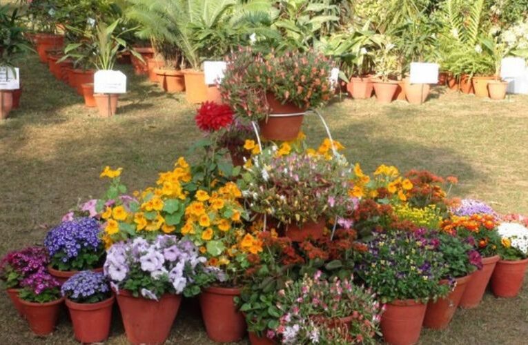 PAU’s Floral Spectacle: Dr. MS Randhawa Memorial Flower Show will host from Feb 28-29