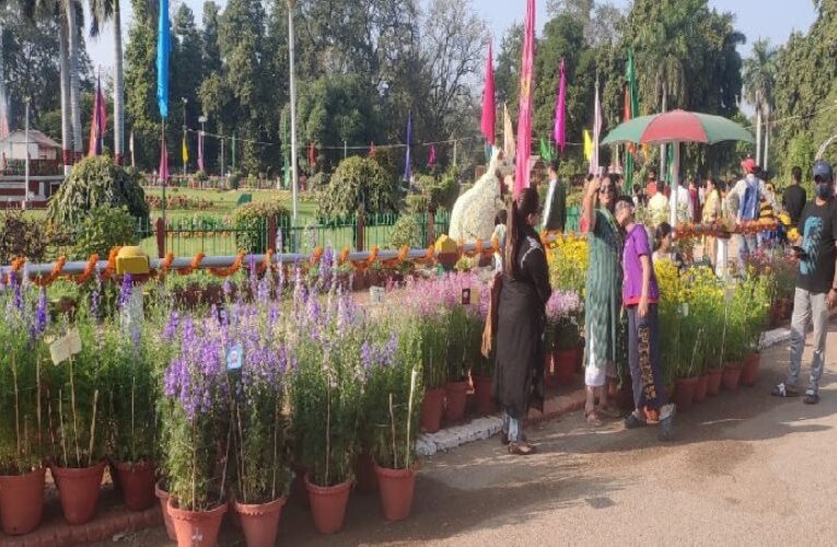 Prayagraj, Chandrashekhar Park Welcomes Flower Enthusiasts on 8th of March 2024