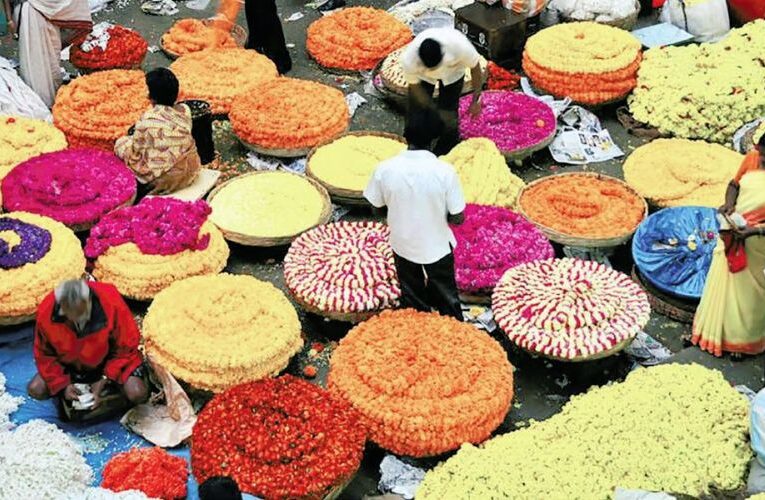 MLC Proposes Global Flower Hub in Bengaluru to Elevate Floriculture Exports