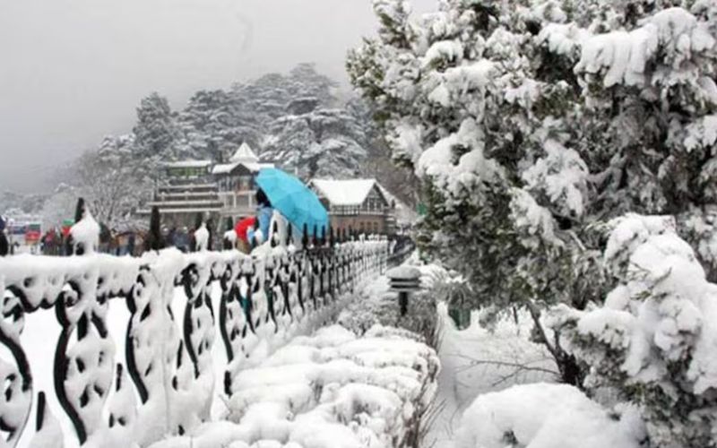 Heavy snowfall continues in Himachal Pradesh these days